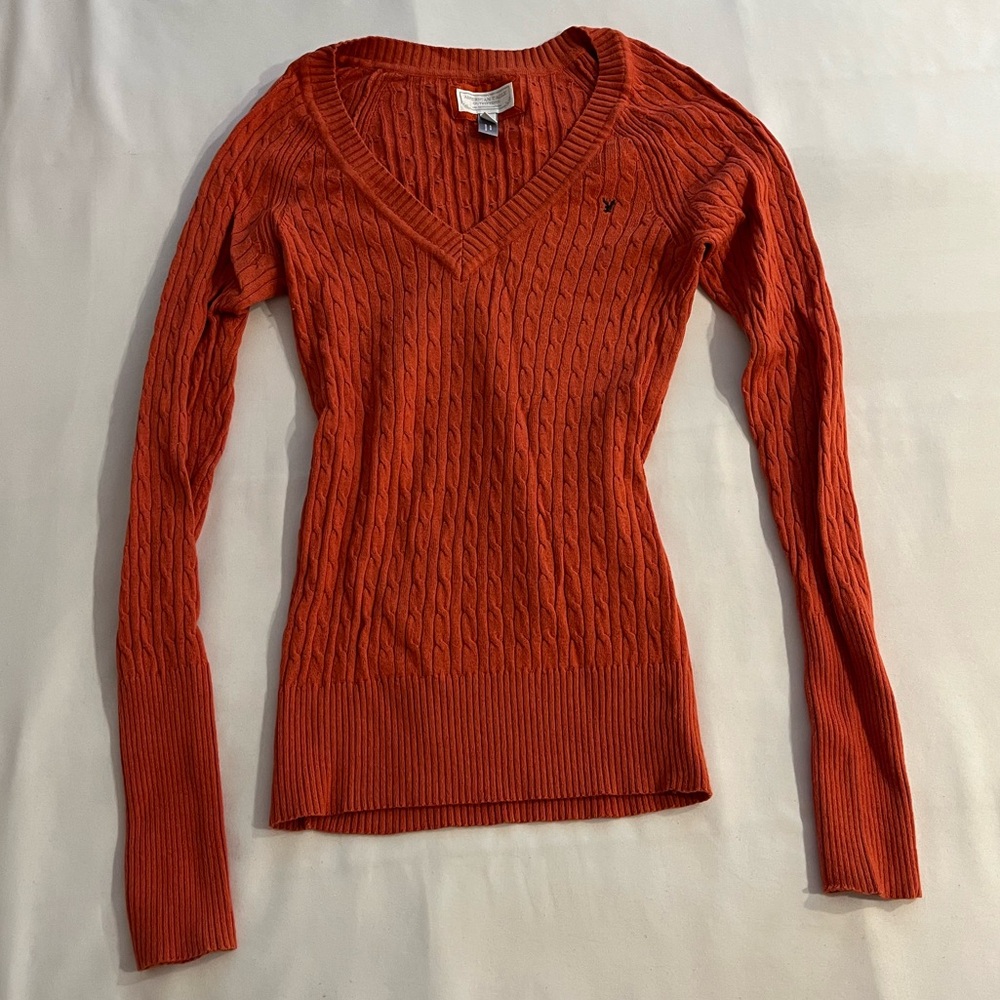 vintage american eagle burnt orange v neck sweater